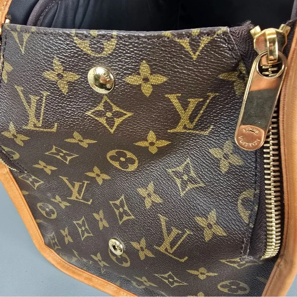 Louis Vuitton dog carrier Monogram Handbag